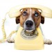 Festnetz und Call by Call